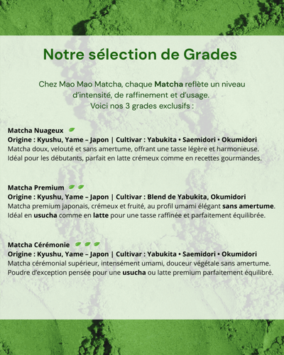 Matcha Cérémonie