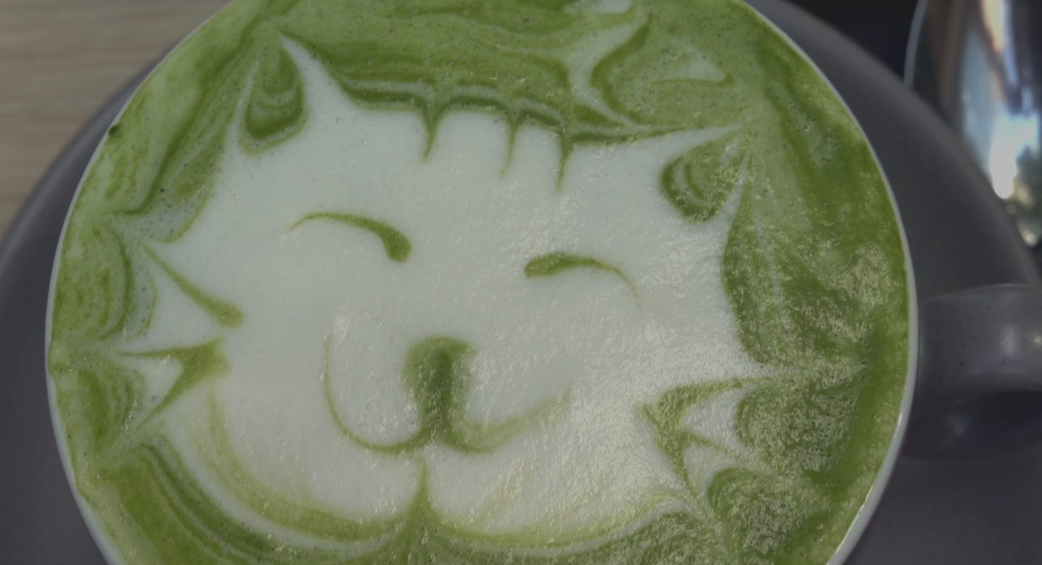 Charger la vidéo: Matcha latte art chat